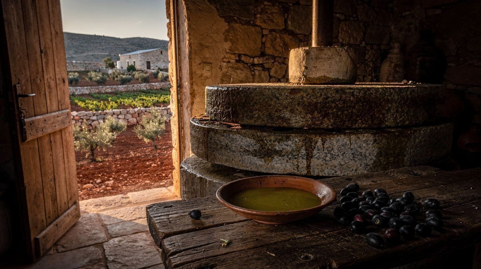 Qué significa realmente una botella barata de aceite de oliva cretense