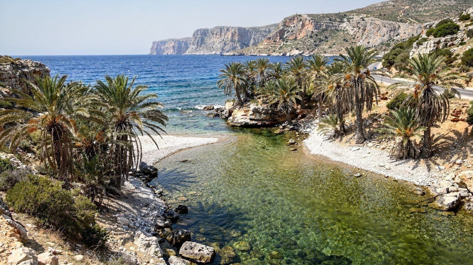 El palmeral de Preveli: se quemó en 2010 y ha vuelto a crecer