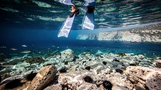 Diving snorkeling
