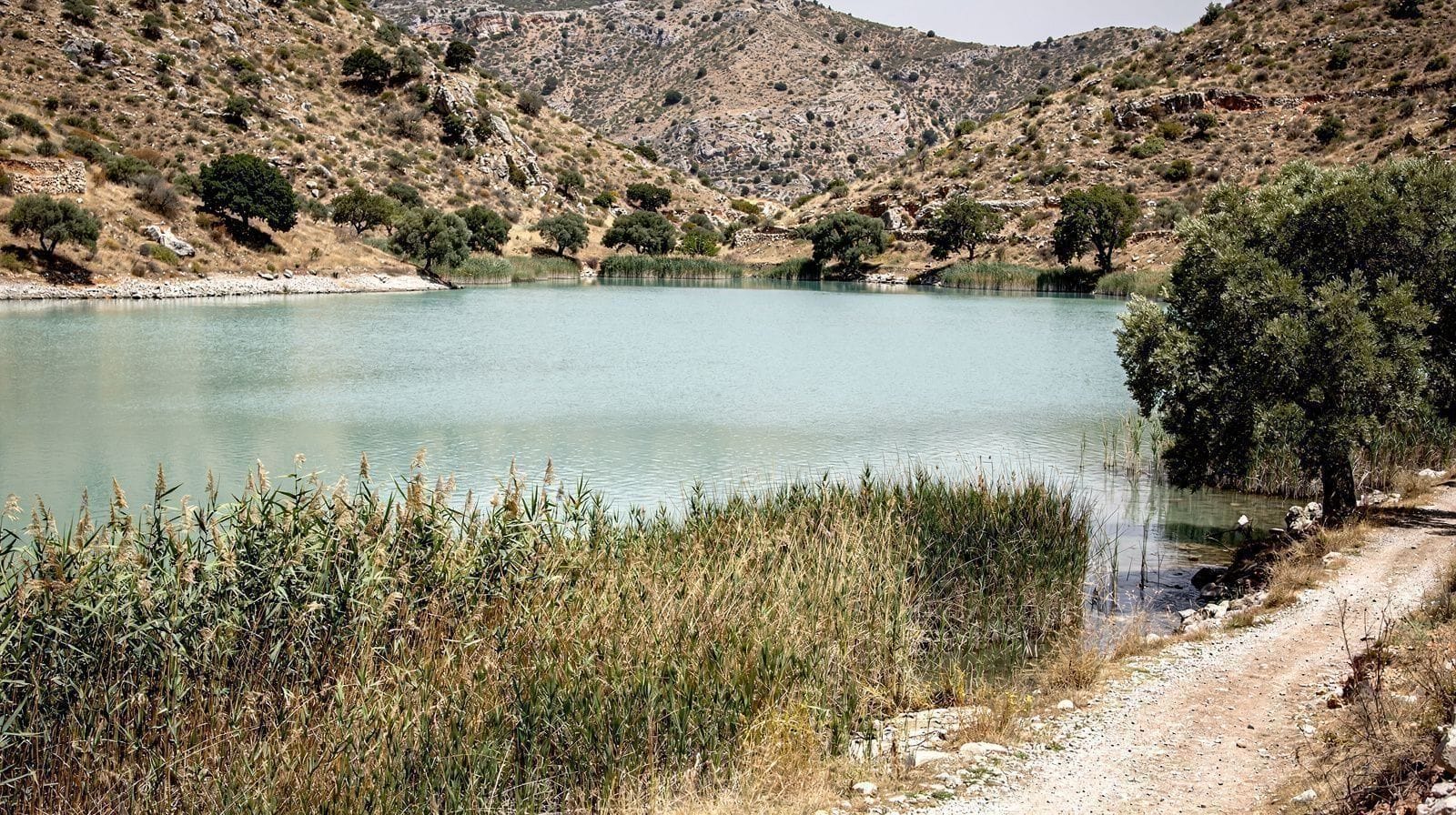 Lago Kournas y Argyroupoli