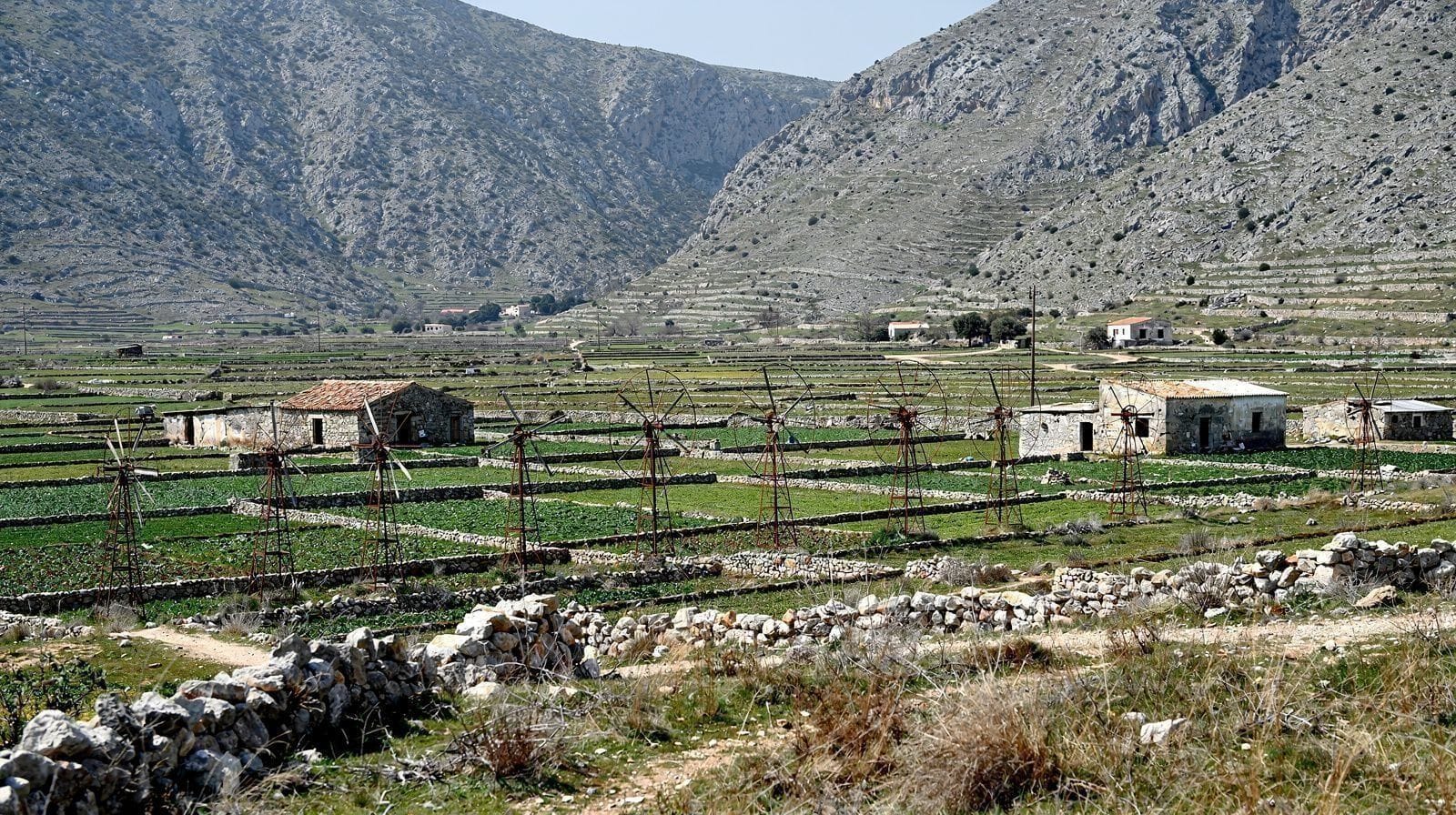 Plateau du Lassithi