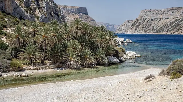Wildlife in Crete: Kri-Kri, Snakes and Vultures