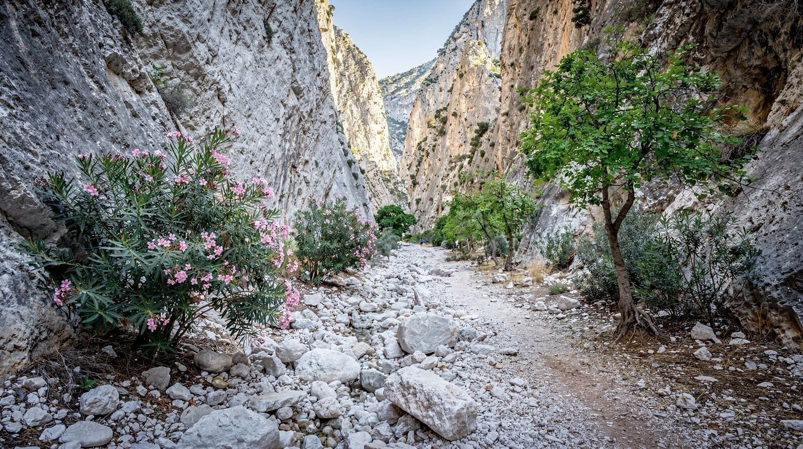 Therisso Gorge and the White Mountain Villages South of Chania