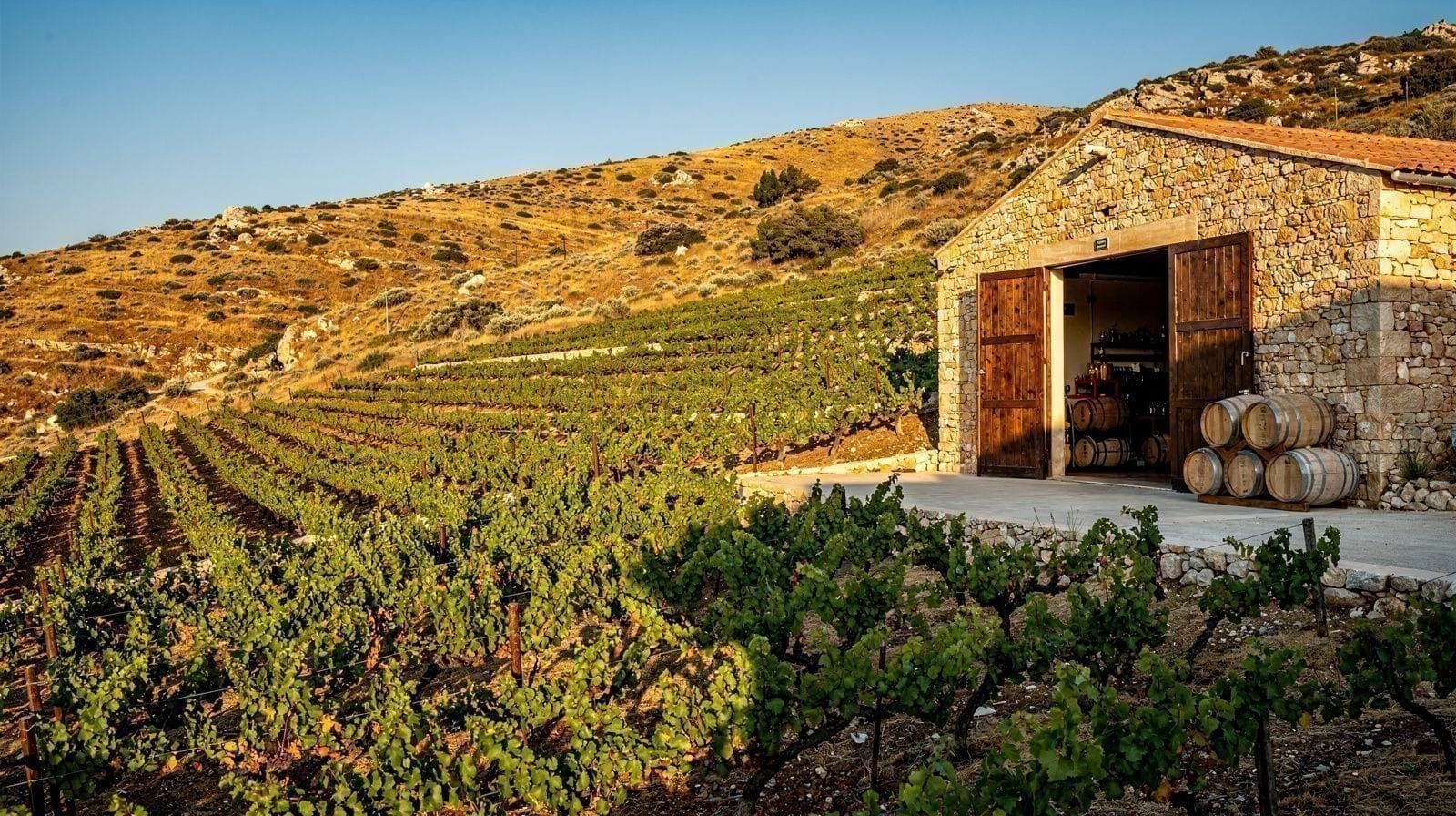 Chania Wine Tasting: What the West of Crete Actually Offers