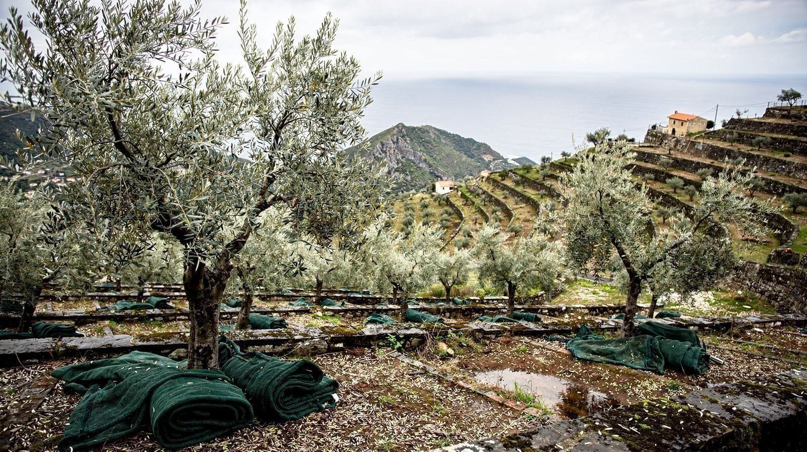 Crete in October: Is the Season Still On?