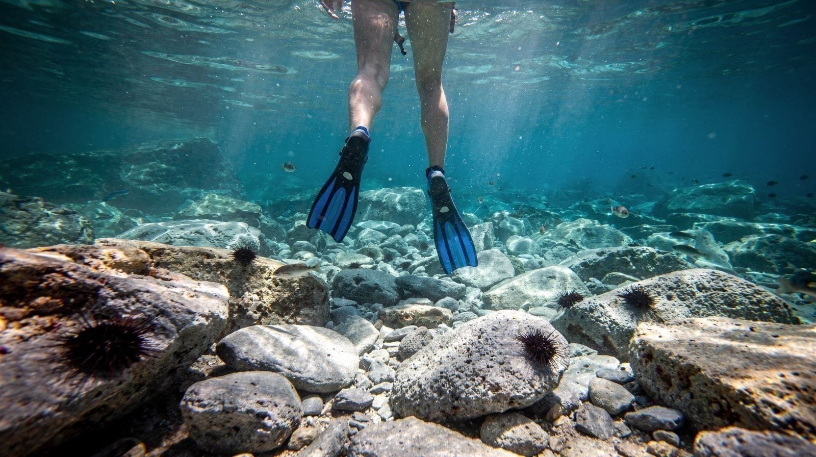 Mergulho em Creta: Onde, Quando e Como É Realmente a Água
