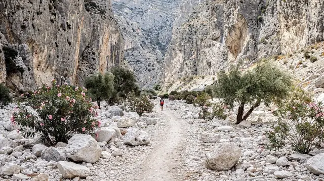The 'Easy Samaria' Walk from Agia Roumeli, Explained