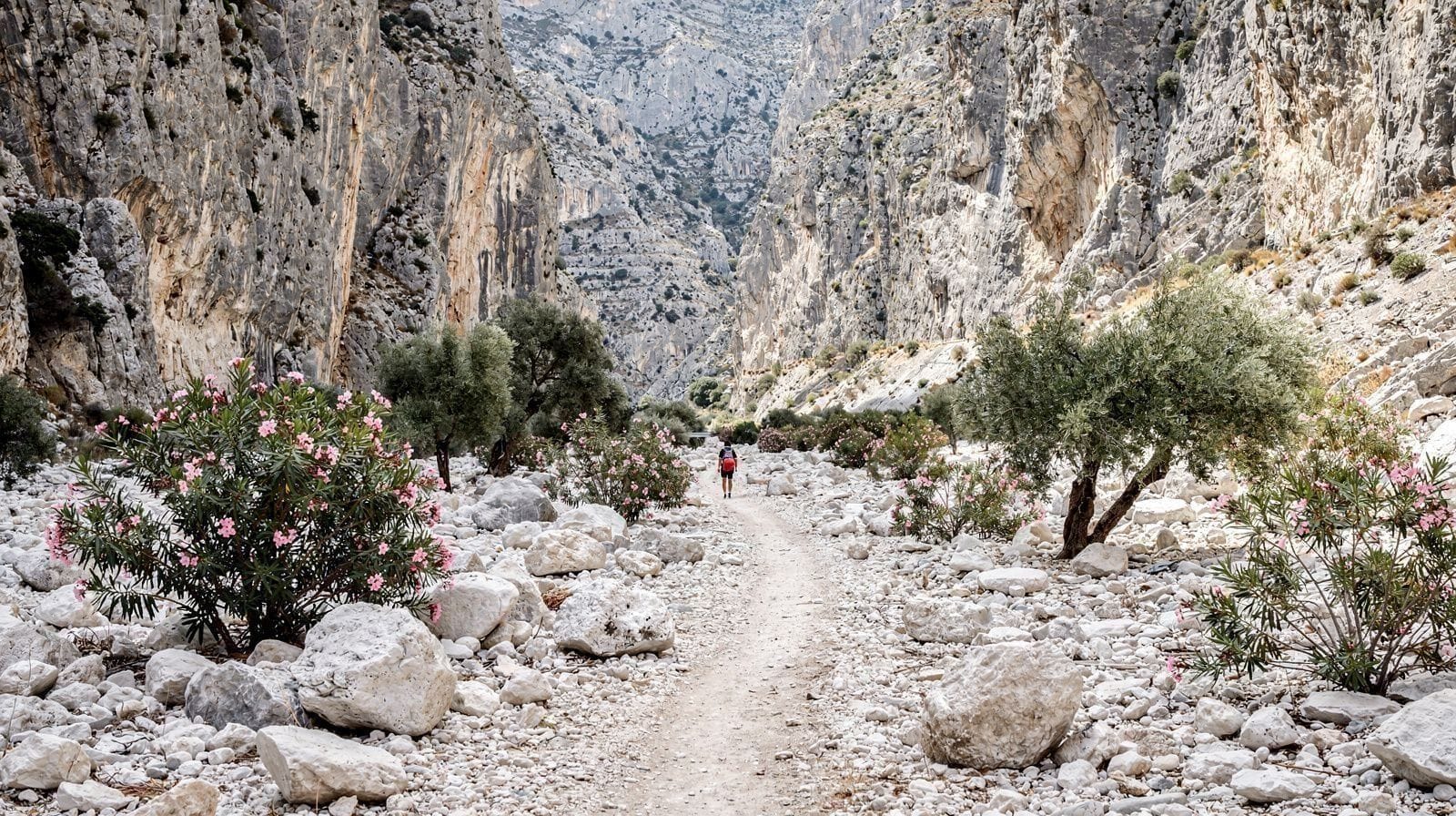 La Passeggiata 'Samaria Facile' da Agia Roumeli, Spiegata