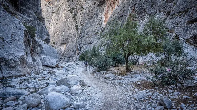 Agia Irini Gorge: A Quiet Alternative Near Sougia
