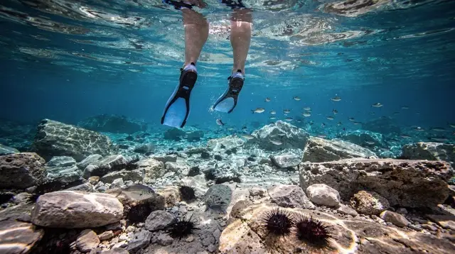 Snorkelling Spots in Crete: Is the Sea Warm Enough?